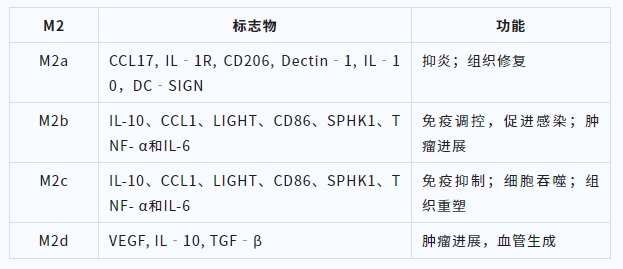 国自然热点 | 不如更细致地讲一个“M2型巨噬细胞”的故事