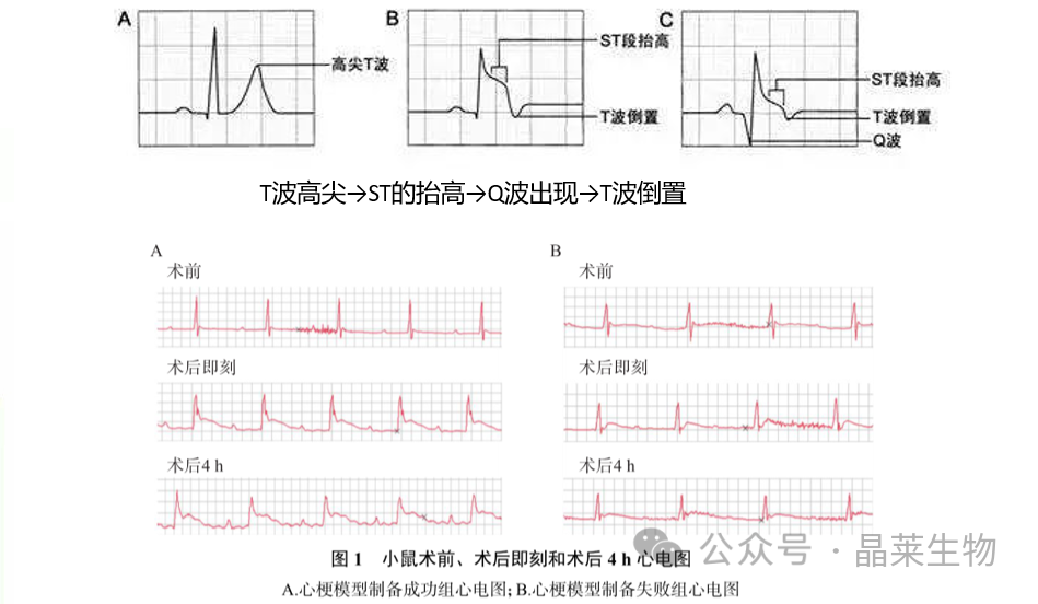 新闻图片8