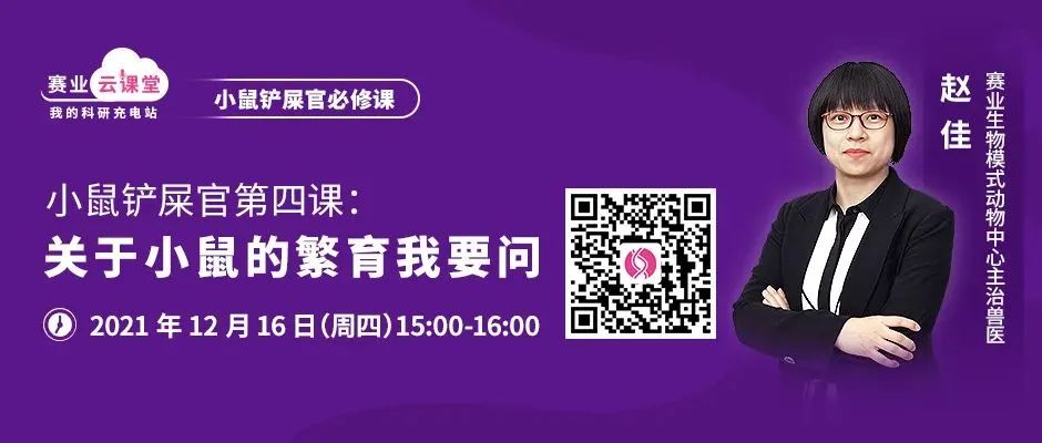 小鼠快速繁育七折起