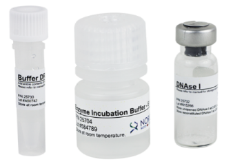 艾美捷无RNase的DNase I试剂盒，灵敏度高，样品用量少