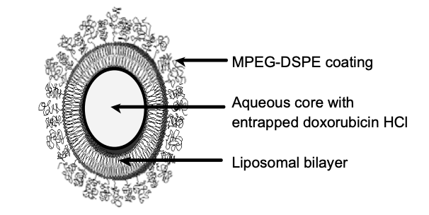 凡人修炼脂质体秘籍2