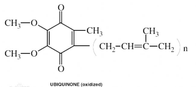 射流乳化机在辅酶Q10乳化制备上的应用