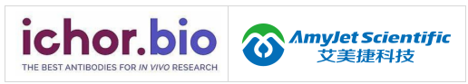 ichorbio丨艾美捷丨研究用生物仿制药方案