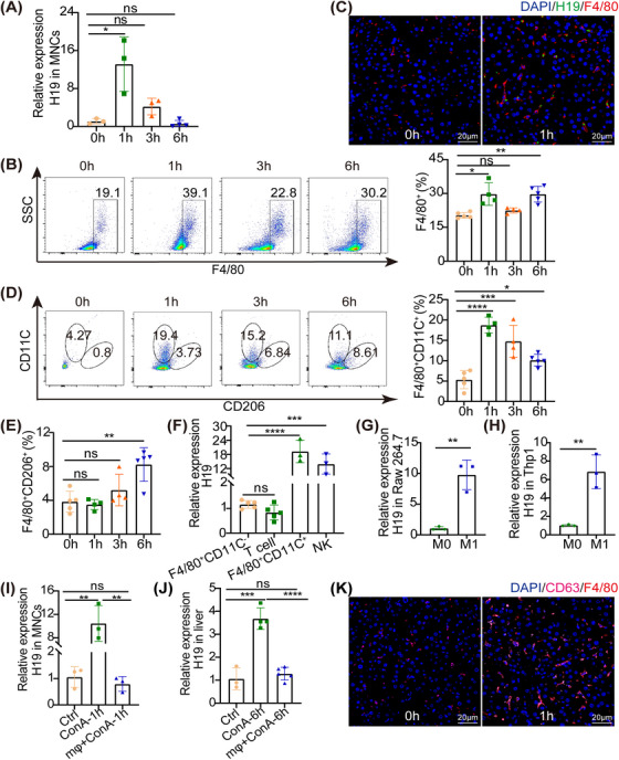 外泌体技术服务