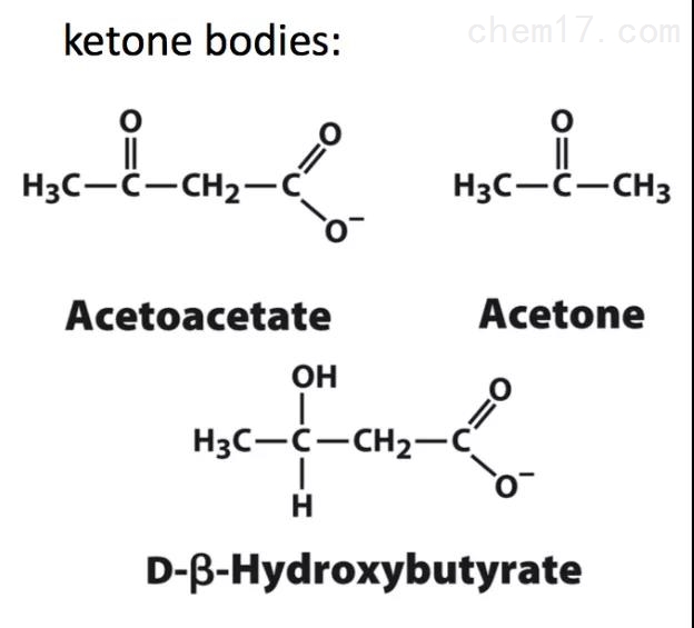 新品分享|酮体含量检测试剂盒