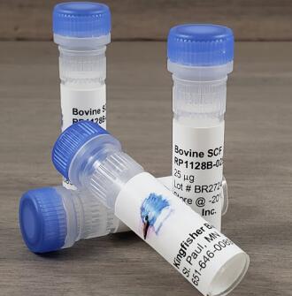 兽医学动物模型研究:Kingfisher Biotech艾美捷解决方案 兽医学动物模型研究:Kingfisher Biotech艾美捷解决方案