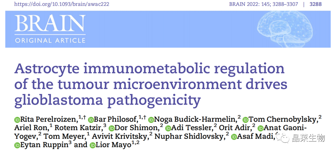 国自然热点 “免疫代谢&amp;肿瘤微环境” 研究文献解读之 星形胶质细胞对肿瘤微环境的免疫代谢调节驱动胶质母细胞瘤致病性