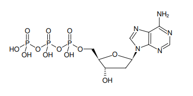 Jena bioscience生物实验室常备--dNTP Bundle促销中