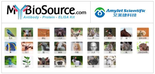 MyBioSource G蛋白信号调节器 9 结合蛋白 (rgs9bp)说明书 MyBioSource G蛋白信号调节器 9 结合蛋白 (rgs9bp)说明书