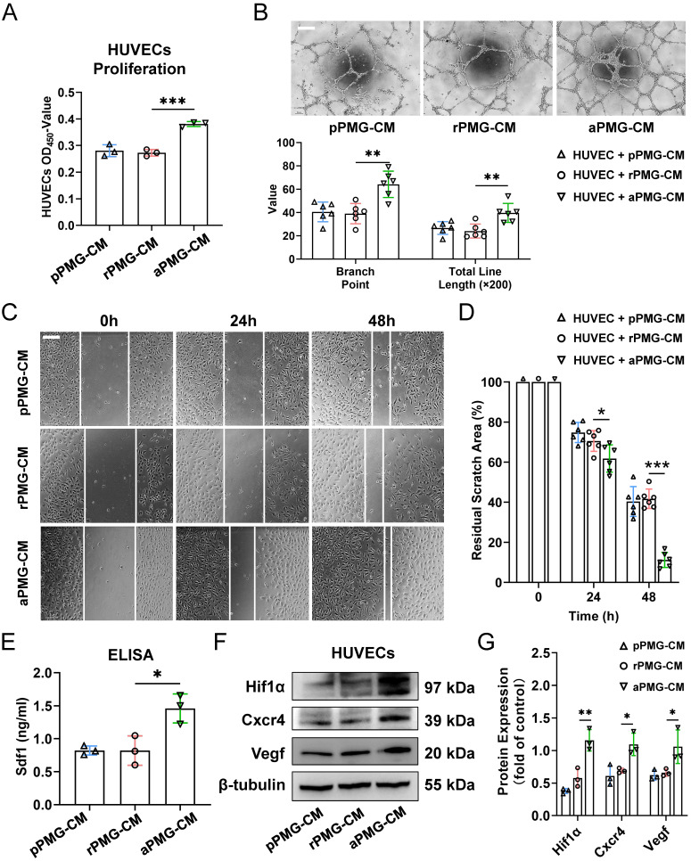 外泌体技术服务 外泌体技术服务