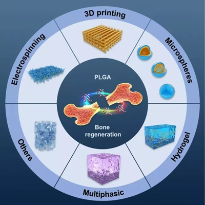 全自动样品快速研磨仪｜骨再生材料的研磨-上海净信