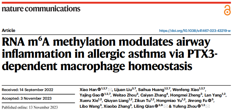 Nat Commun丨南模生物助力揭示m6A修饰在过敏性哮喘气道炎症中调控巨噬细胞稳态的新机制