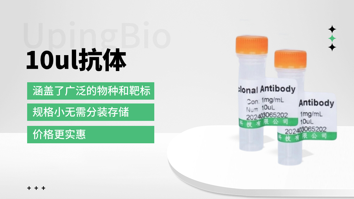 优品生物 超20000+ 10ul抗体系列