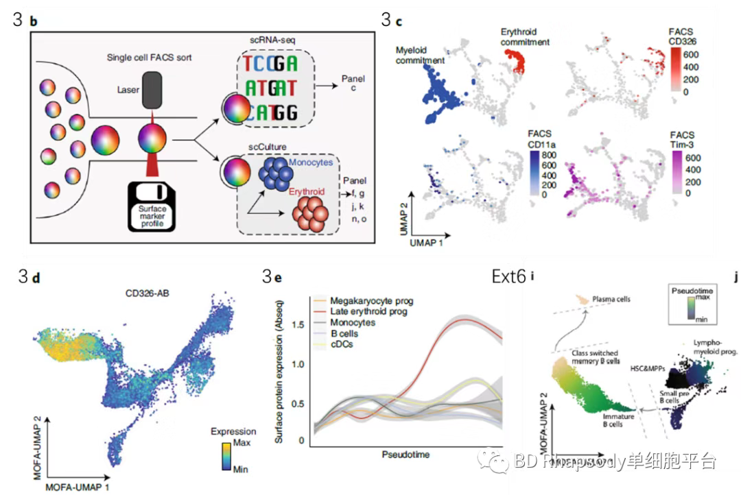 BD Rhapsody AbSeq + WTA + TTA + SMK + FACS Aria II助力白血病研究