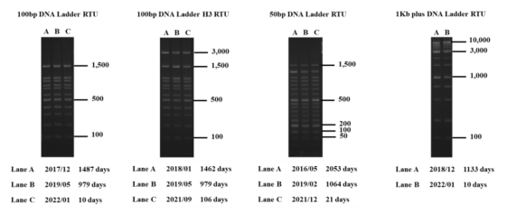 Bio-Helix丨Bio-Helix艾美捷100bp DNA ladder说明书 Bio-Helix丨Bio-Helix艾美捷100bp DNA ladder说明书