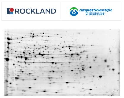 Rockland 艾美捷大肠杆菌HCP控制说明书
