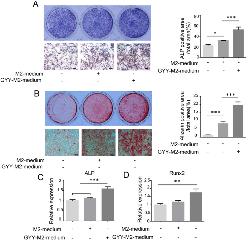 外泌体技术服务 外泌体技术服务