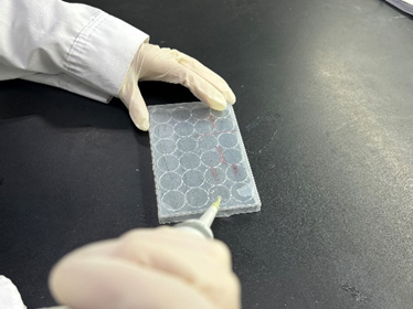 1708652080343256.png 5.png