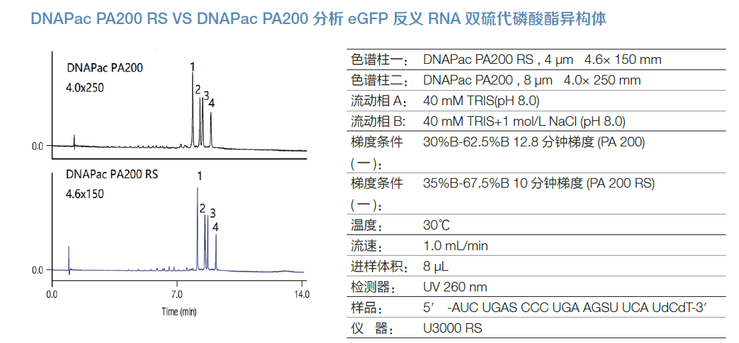 四小名助|快速核酸药物表征全攻略来了
