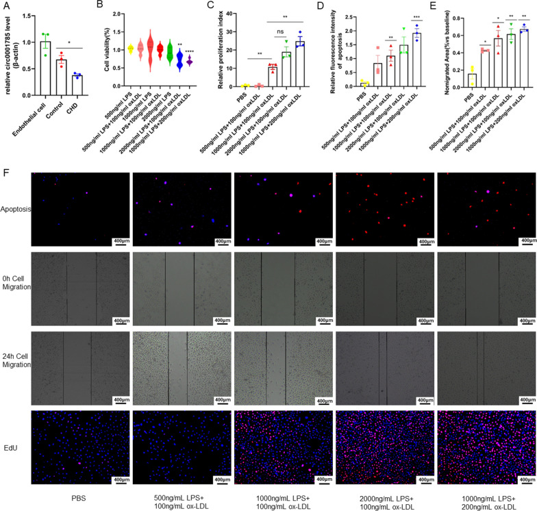 外泌体技术服务
