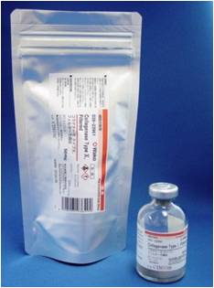 胶原酶Ⅰ型 已过滤