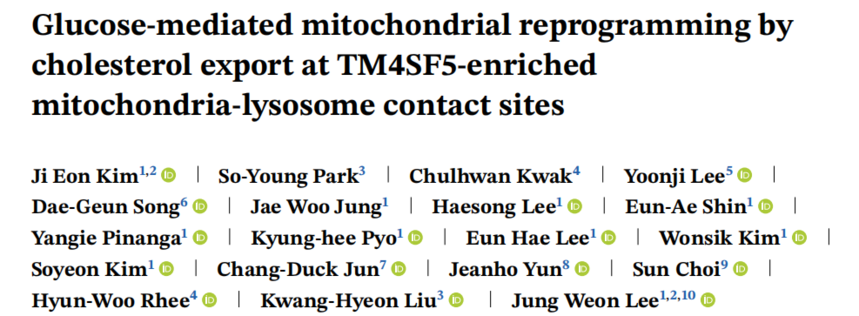 文献分享 | IF=16+的设计思路原来是这样的，线粒体+代谢重编程+糖酵解+自噬四大国自然热点齐聚一堂