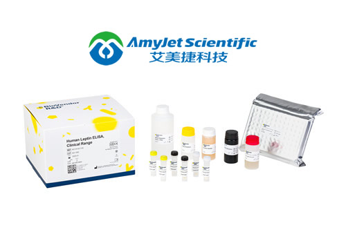 中英文说明书丨艾美捷无内毒素卵清蛋白参数和应用 中英文说明书丨艾美捷无内毒素卵清蛋白参数和应用