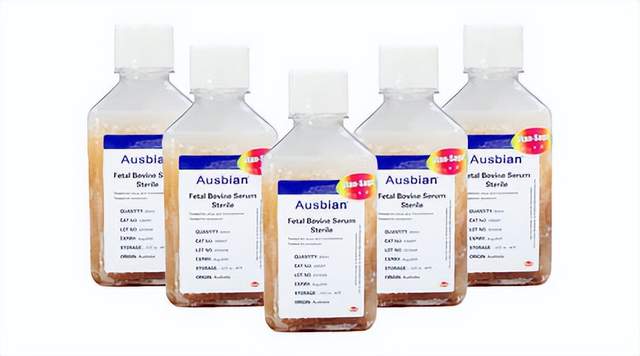 细胞培养之新生牛血清与胎牛血清对比