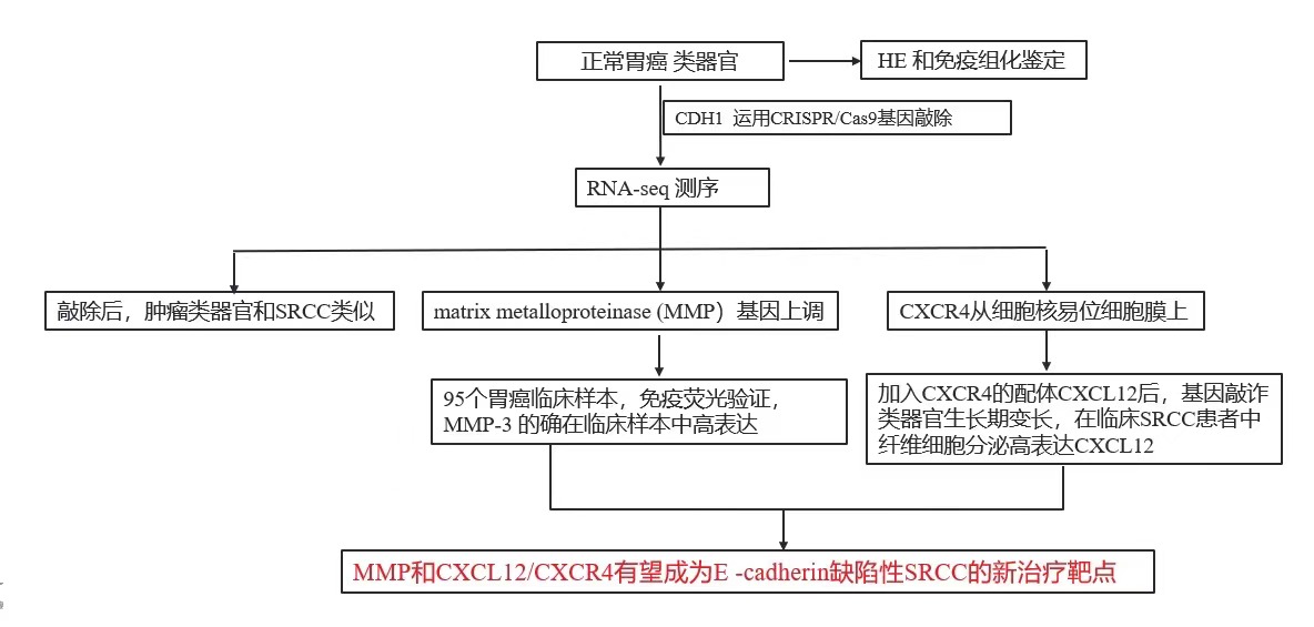 新闻图片12