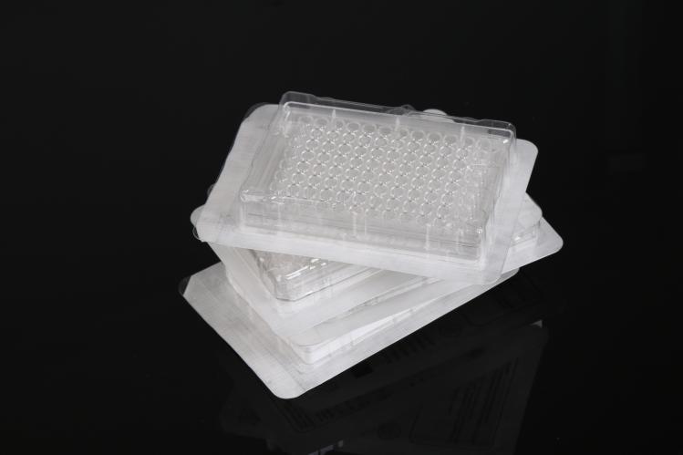 Absin耗材推荐——细胞培养板