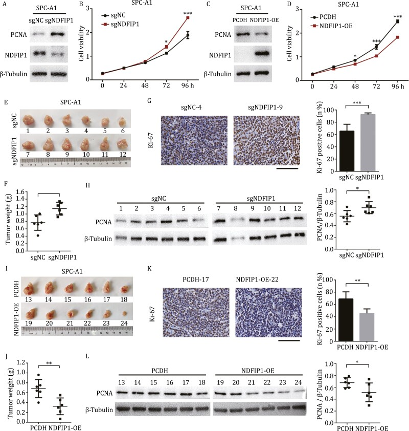 外泌体技术服务