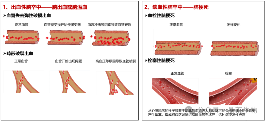 新闻图片3