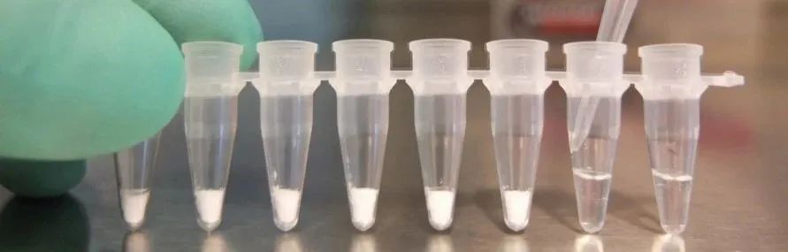 POC检测的加速器-迈迪安定制冻干微球技术