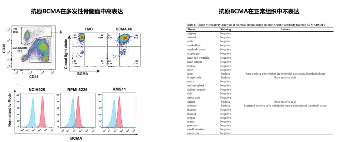 流式细胞术在CAR-T临床研发前应用