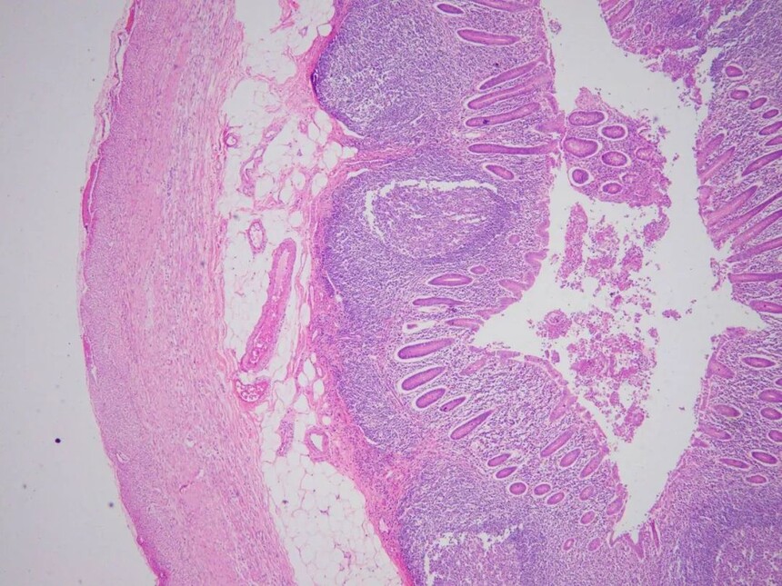 1693384320151486.jpg 1693384320151486.jpg