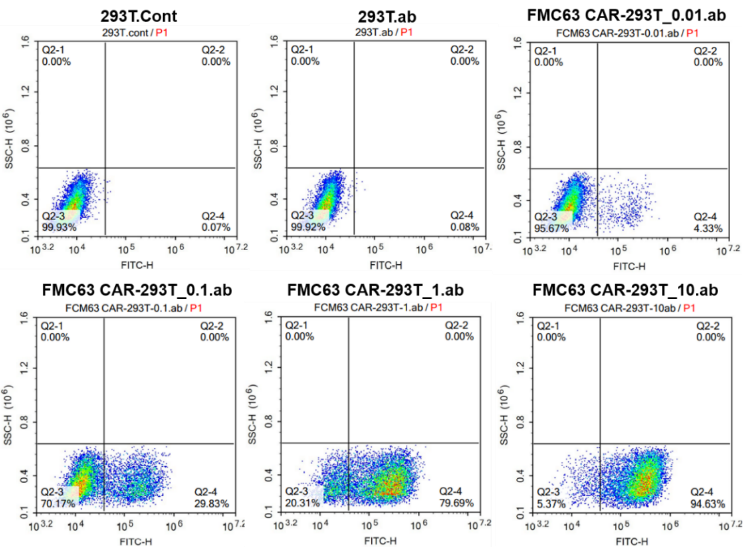 流式细胞术在CAR-T临床研发前应用