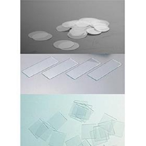 BUNSEN本生| 细胞爬片的操作方法以及技巧 