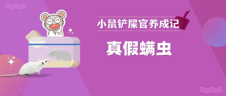 真假螨虫--你见到的螨，其实不是真的螨