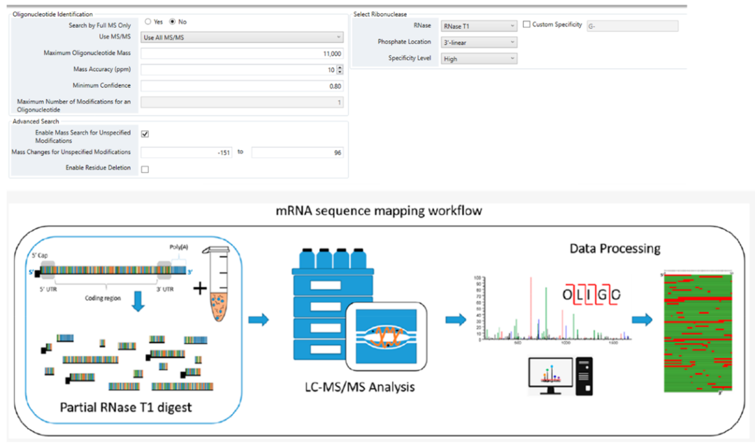 解锁高阶模式,Oligo全面表征流程
