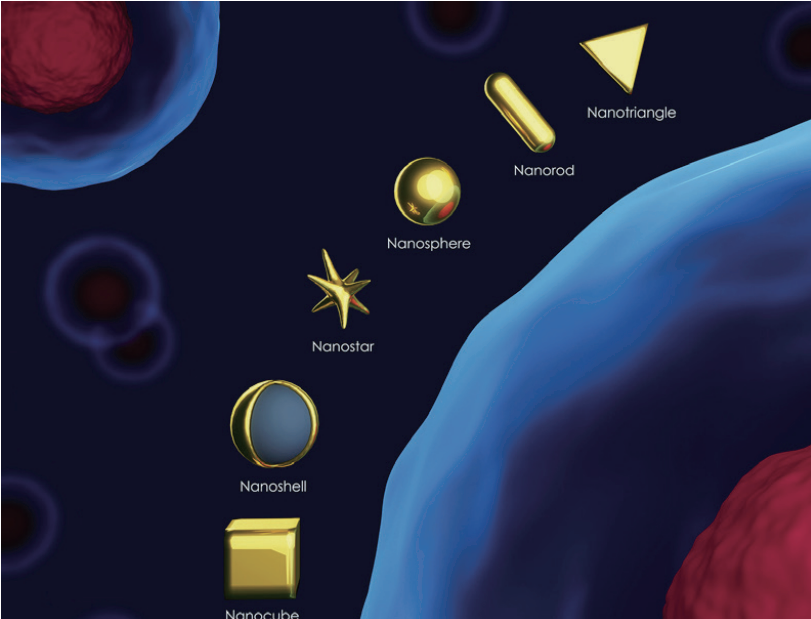 使用Nicomp®系统的金纳米颗粒