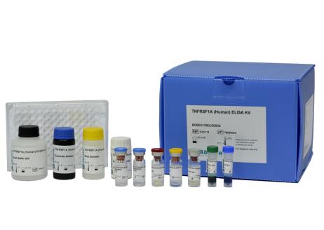 艾美捷DDX53(人)重组蛋白,WB、ELISA等多验证试验 艾美捷DDX53(人)重组蛋白,WB、ELISA等多验证试验