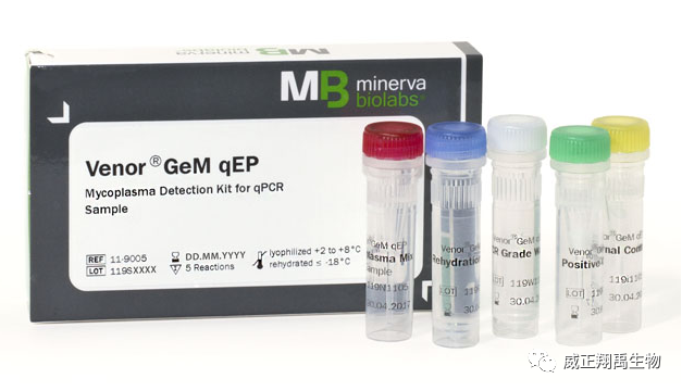 从以往PCR对支原体污染的检测报道看方法验证的必要性