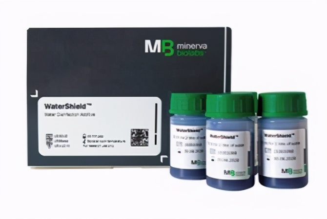 新的分子逆转了老年痴呆症的记忆力下降