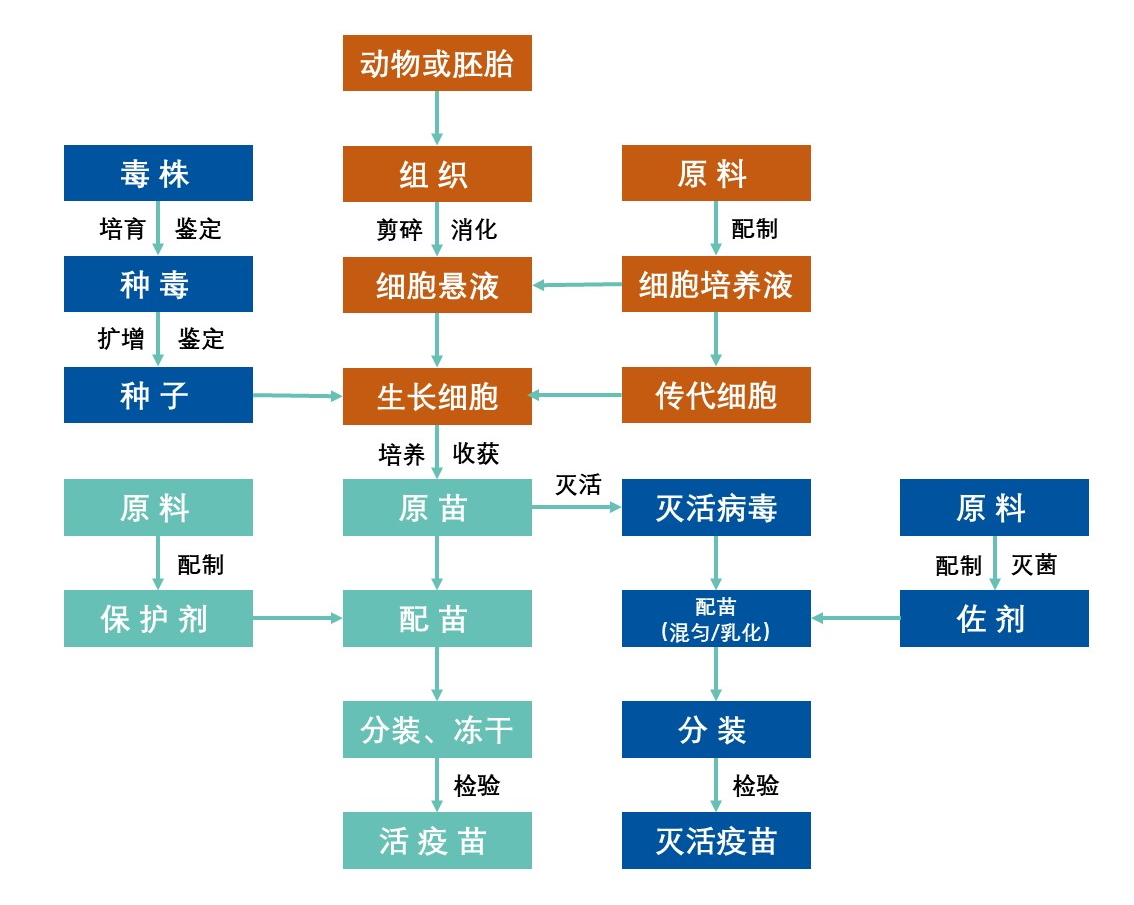 解决方案 | IKA 中试产品助力疫苗生产