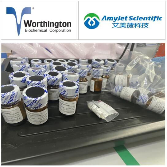 Worthington植物原生质体制备丨纤维素酶方案 Worthington植物原生质体制备丨纤维素酶方案