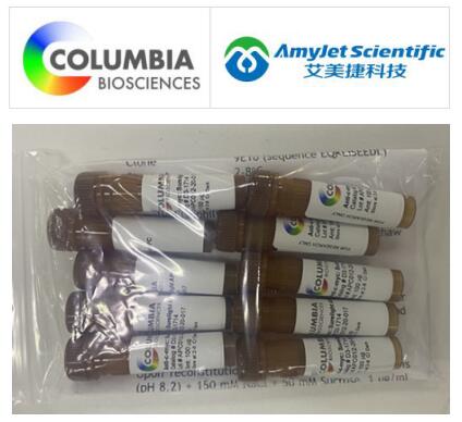 Columbia Biosciences艾美捷山羊抗美洲驼 IgG:SureLight® APC Columbia Biosciences艾美捷山羊抗美洲驼 IgG:SureLight® APC