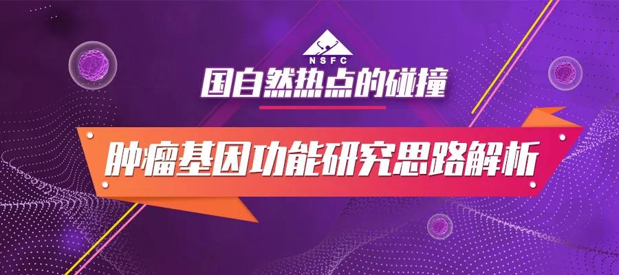 国自然热点的碰撞：肿瘤基因功能研究思路解析