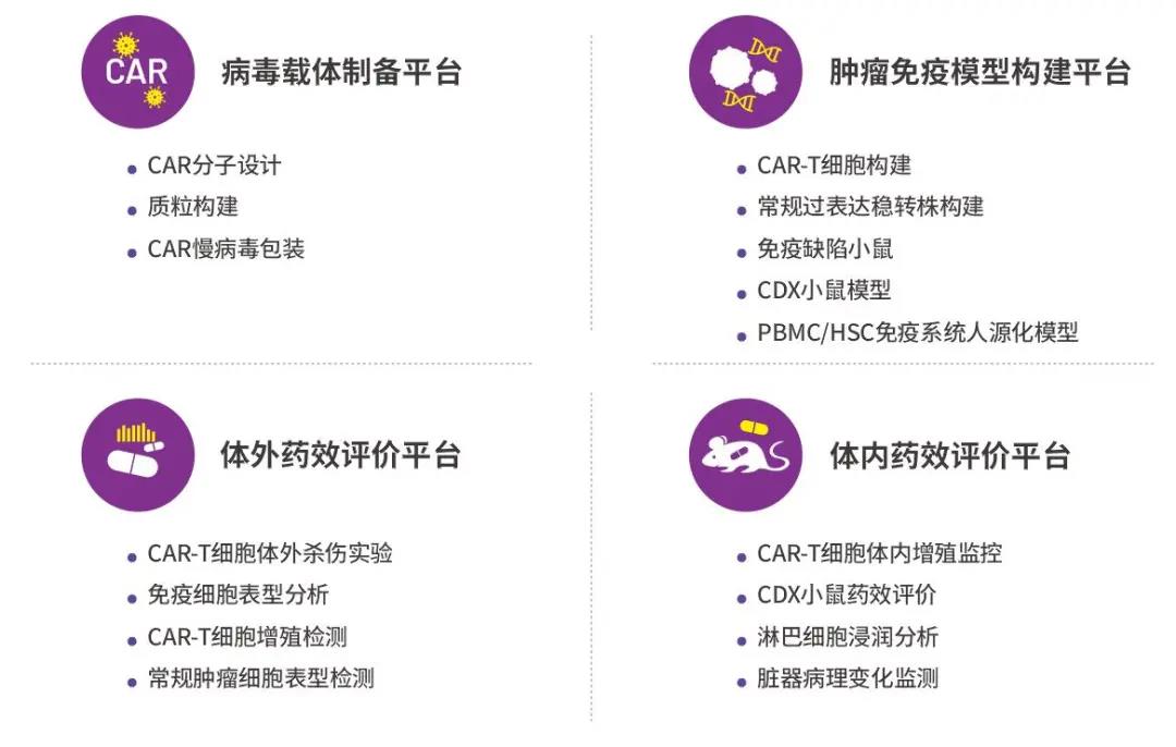 CAR-T细胞免疫治疗