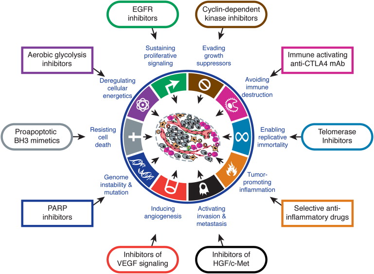  肿瘤组织简介及样本的保存与制备