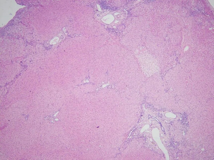 1693384623684505.jpg 1693384623684505.jpg